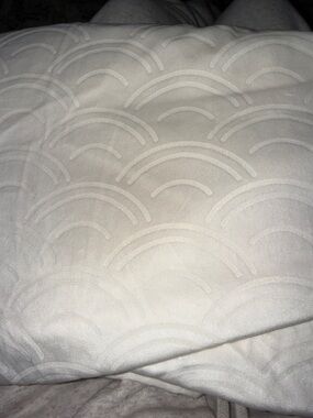 Threshold Cream Velvet Shower Curtain with Arch Texture